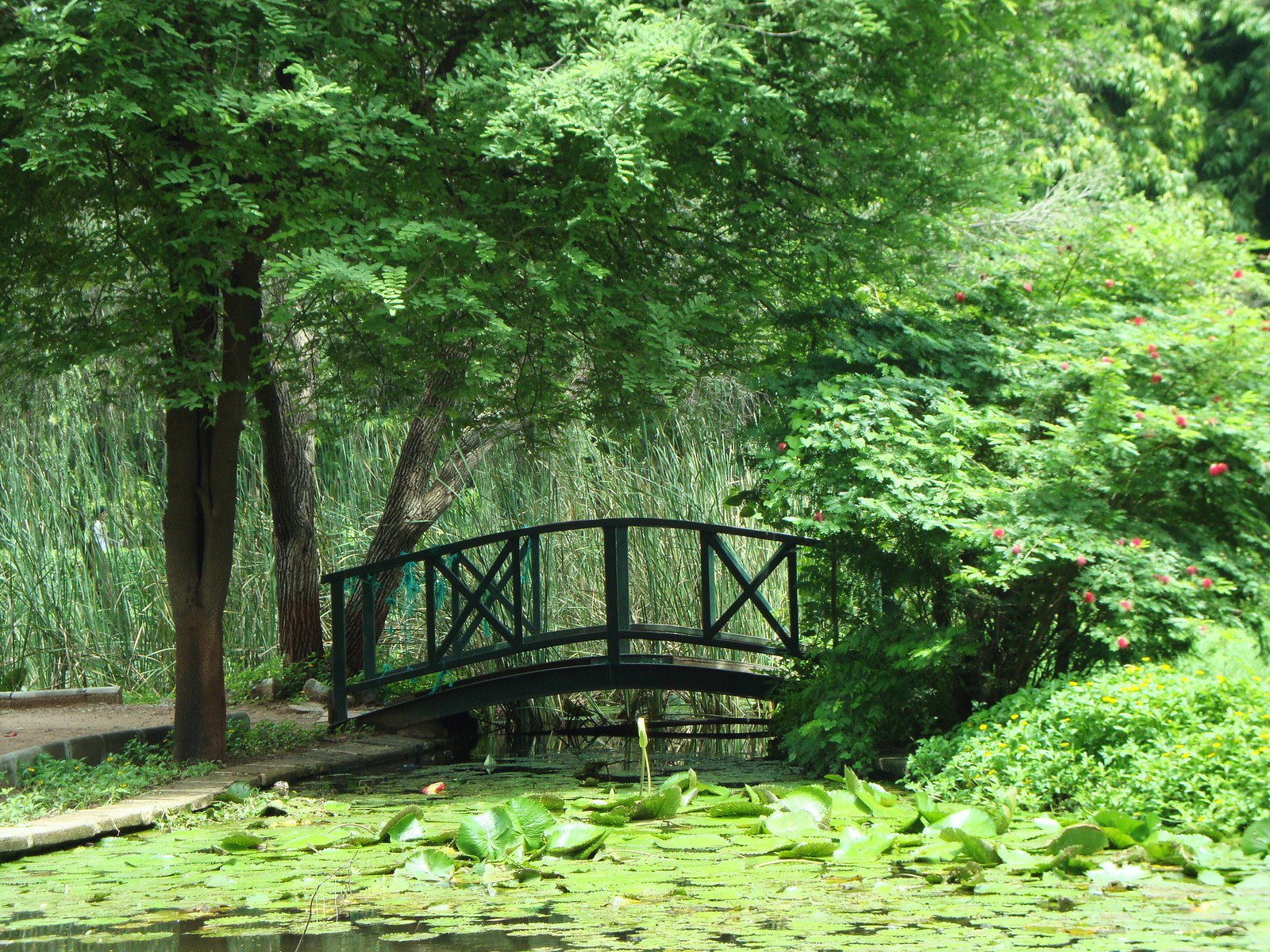 Law Garden, Ahmedabad, Gujarat, Tourism, 2023 How to reach Law Garden