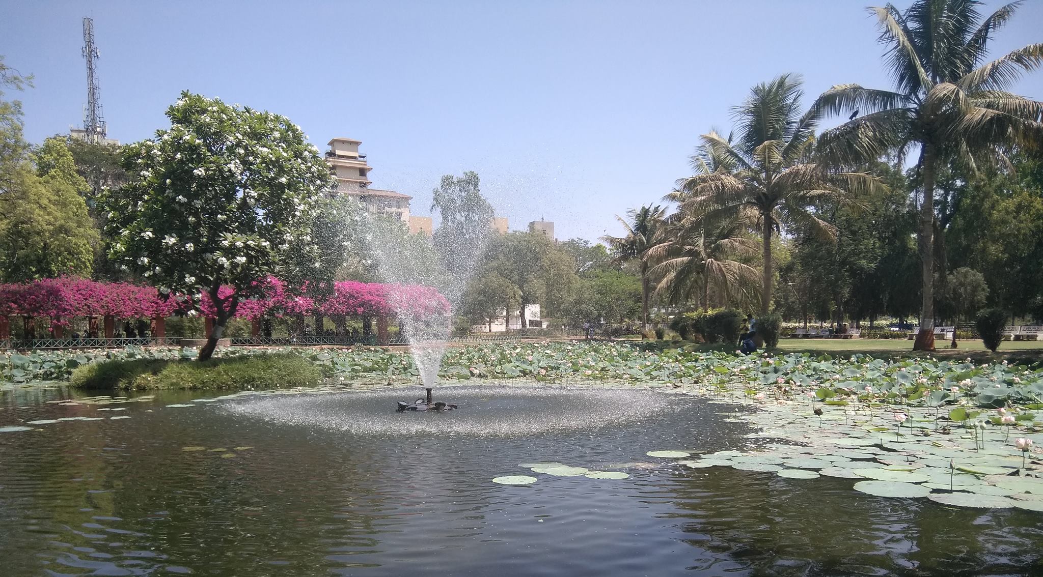 Parimal Garden, Ahmedabad, Gujarat, Tourism, 2023 How to reach