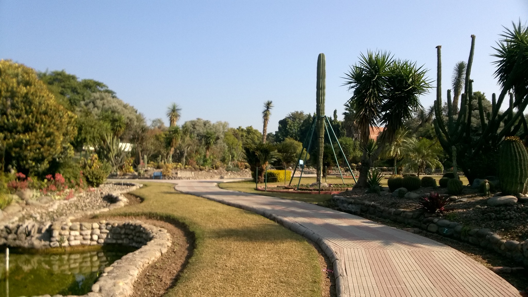 Cactus Garden - Chandigarh | Gardens In Chandigarh | Rare Collection Of  Cactus - TripInvites - TripInvites