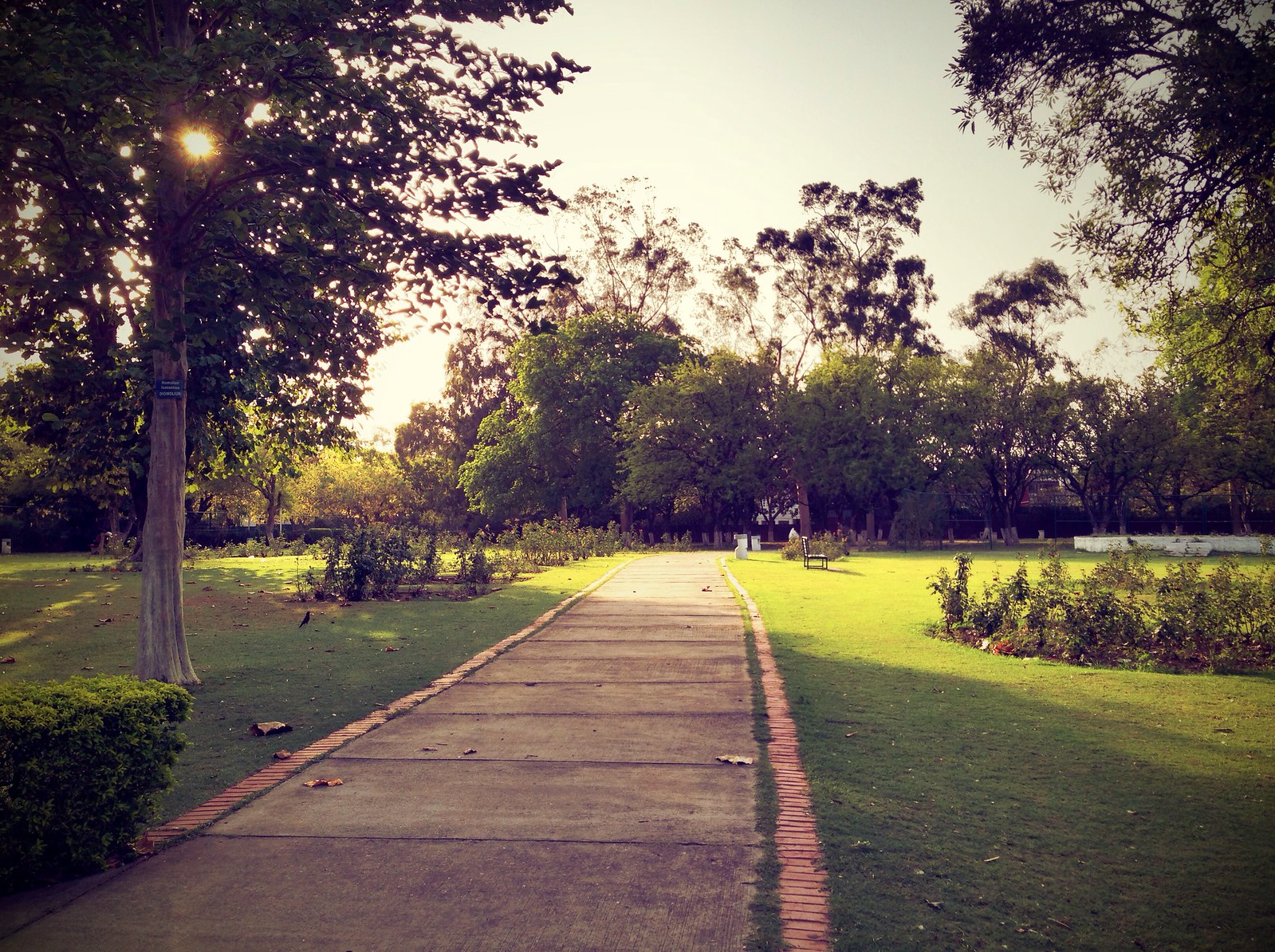 Rose Garden, Chandigarh, India Tourism 2023 Timings, Entry Fees