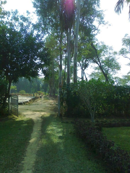Tea Gardens complex