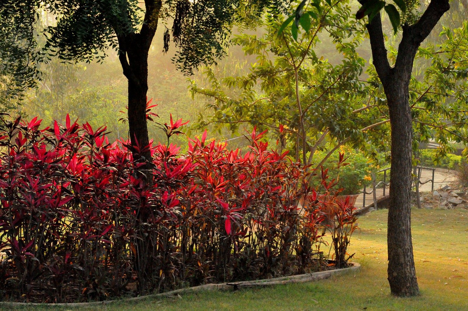 Botanical Gardens, Hyderabad, Telangana, Tourism, 2021 How to reach