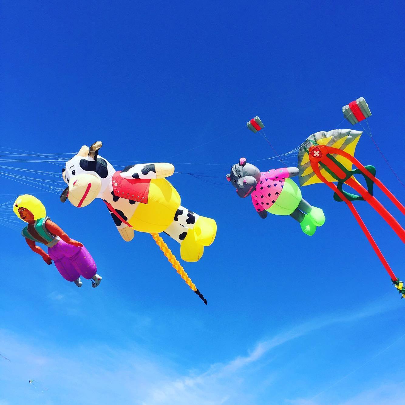 International Kite Festival, Jaipur, Rajasthan Tourism 2021 Kite