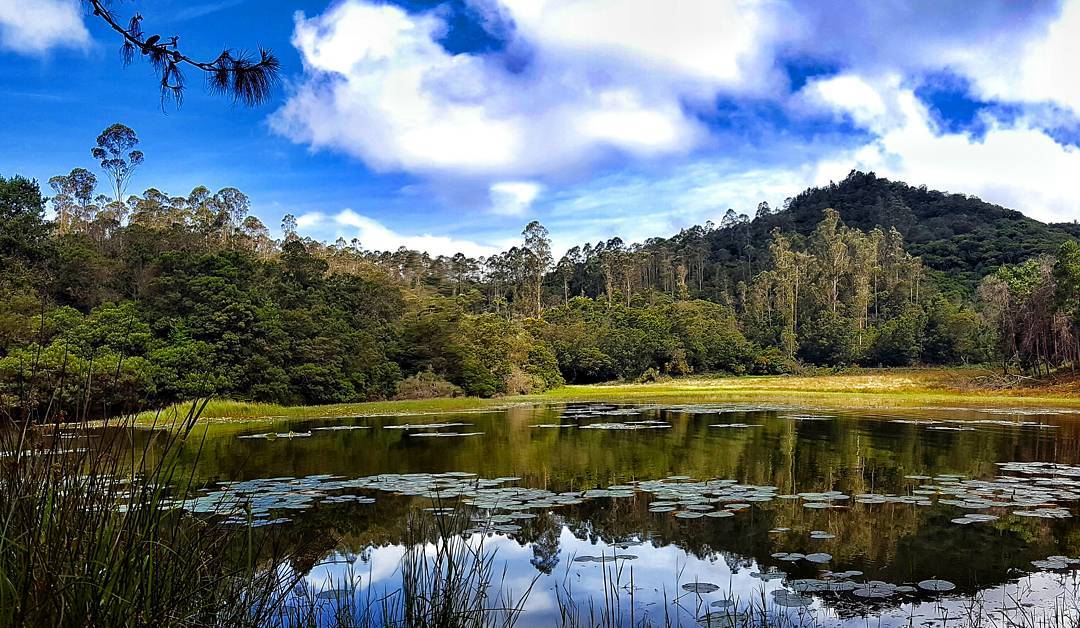 Berijam Lake, Kodaikanal, Tamil Nadu Tourism 2021| Lake, How To Reach,  Photos Of Berijam Lake - Tripinvites - Tripinvites