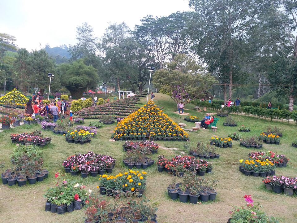Blossom Park, Munnar, Kerala Tourism 2021 Park, Images, How to reach