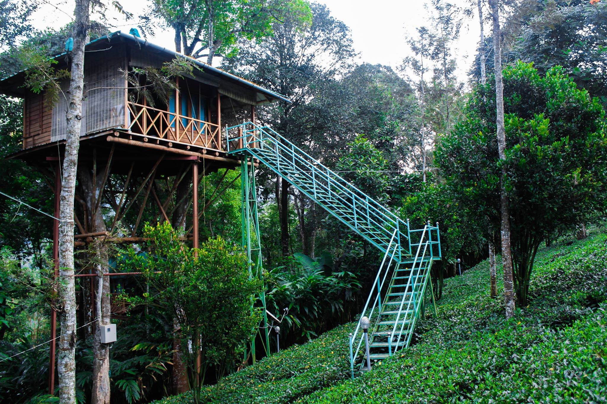 Tree Houses, Munnar, Kerala Tourism 2021 Forest, Hotel, Images, How