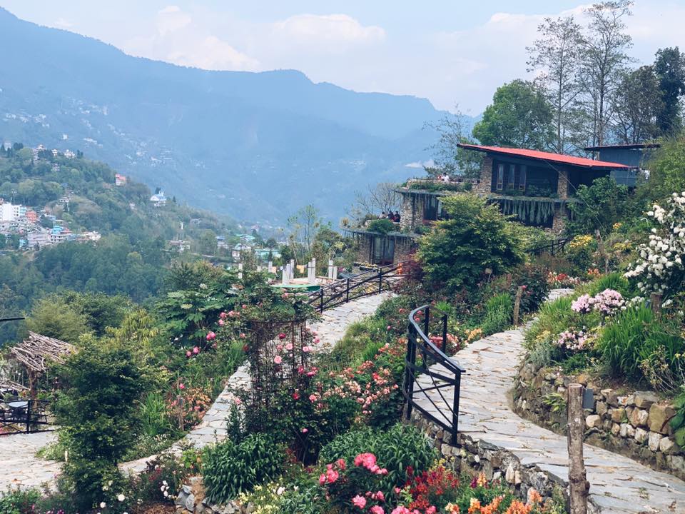 Rose Garden Solophok, Namchi, South Sikkim Tourism 2021 How to reach