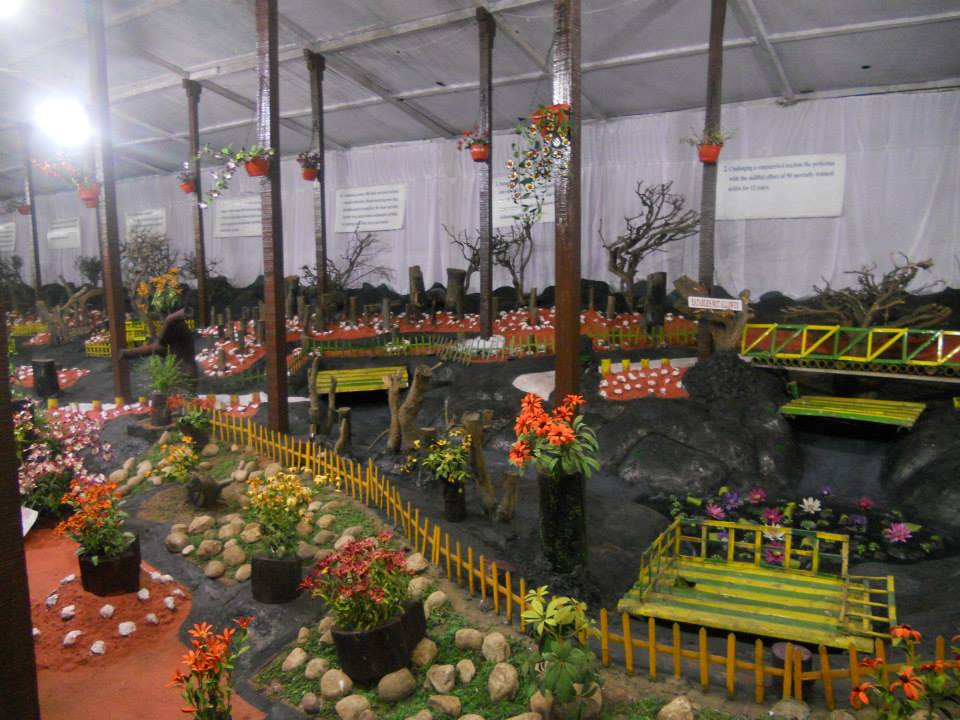 Thread Garden, Ooty, Tamil Nadu, Tourism, 2021 Garden, Photos of